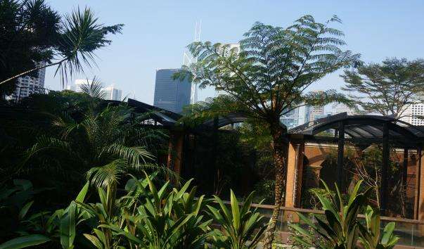 Зоологічний і ботанічний сади Гонконгу