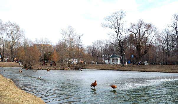 Катерининський парк у Москві