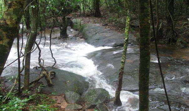 Водоспад Suoi Tranh