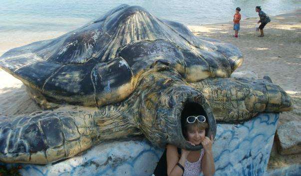 Центр охорони морських черепах Sea Turtle conservation centre