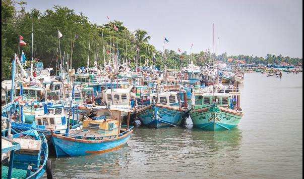 Рибний ринок Негомбо