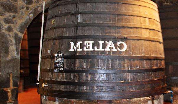 Музей портвейну «Porto Calem»