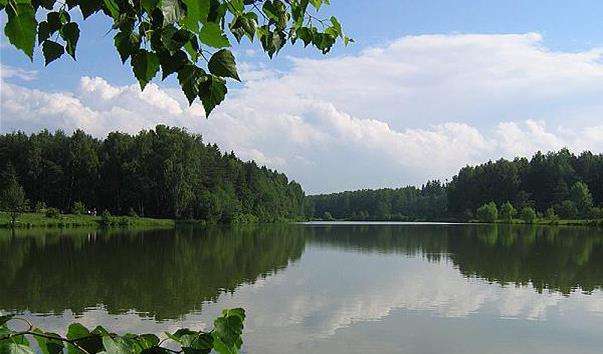 Салтиковський лісопарк