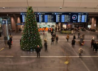 Regalos inteligentes para viajeros en 2025: equipo liviano para aventureros