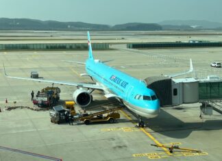 World’s Busiest Airline Routes: Domestic Travel Dominates