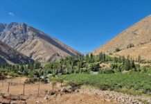 Чилі, долина Елкі: Піско, зірки та спадщина Габріели Містраль