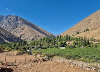 Chile, Dolina Elqui: Pisco, gwiazdy i dziedzictwo Gabrieli Mistral