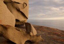 Острів Кенгуру: дика природа, стійкість і зростаюча присутність туристів