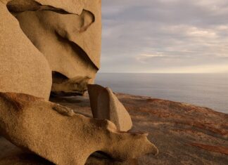 Kangaroo Island: dieren in het wild, veerkracht en een groeiende toeristische aanwezigheid