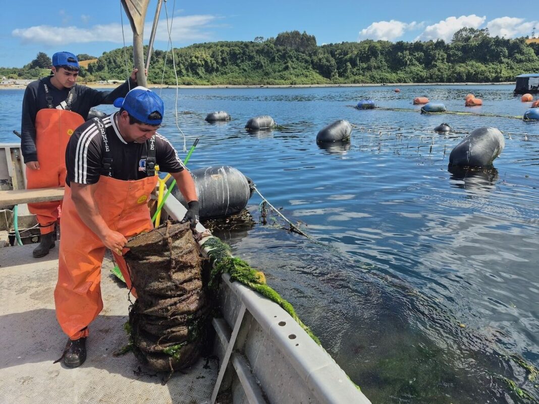 0b8ae890-5a65-4b9e-af26-1e2fa707cd64