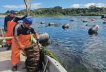 Chiloe: місце, де чилійські традиції зустрічаються з диким узбережжям Патагонії