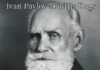 Ivan Pavlov : Comment les expériences accidentelles avec des chiens ont révolutionné la psychologie