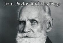Ivan Pavlov: Jak náhodné experimenty se psy způsobily revoluci v psychologii