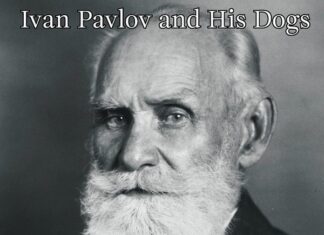 Ivan Pavlov: Bagaimana Eksperimen Anjing yang Tidak Disengaja Merevolusi Psikologi