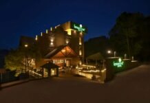 Огляд індустрії туризму: стратегічні зрушення, розширення люкс-сегменту та волатильність ринку