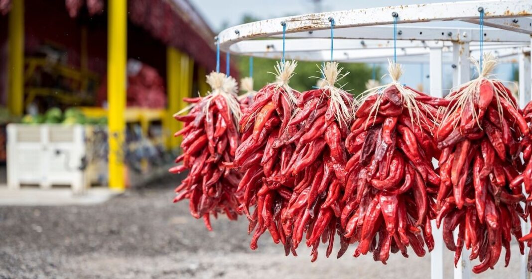 4d3e2a54-c02c-4a9d-9b96-8eb18703f63e