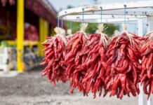 Гастрономічний путівник Альбукеркою: від високогірної кухні до секретних спікізі