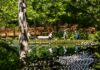 Beyond the Blue Vest: A 36-Hour Guide to Bentonville’s Art, Trails, and Soul