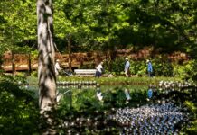 Beyond the Blue Vest: A 36-Hour Guide to Bentonville’s Art, Trails, and Soul