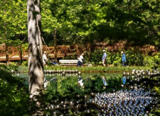 Beyond the Blue Vest: A 36-Hour Guide to Bentonville’s Art, Trails, and Soul