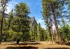 The Ultimate Guide to Booking America’s Most Competitive National Park Campgrounds
