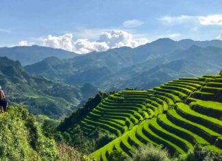 Who owns the mountains of Sa Pa?