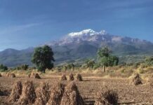 Panduan Perjalanan Puebla: Sejarah, Geografi, dan Logistik