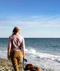 Pet Travel Essentials: 10 itens essenciais para viagens sem estresse