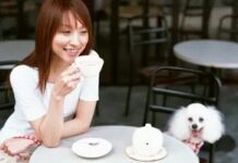 La réalité des restaurants acceptant les animaux : où pouvez-vous réellement emmener votre chien ?