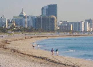 Bagaimana Pantai Miami Berkembang Dari Rawa Menjadi Ikon Tepi Laut