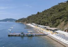 Die besten Strände auf Büyükada: Ein Leitfaden für Istanbul-Fluchten