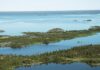 Explorando el Gran Lago de los Esclavos: la joya escondida del norte de Canadá