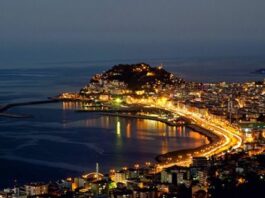 O verdadeiro guia Giresun: por trás do mito da avelã