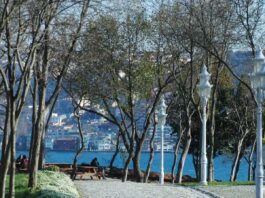 Escape the Concrete: 17 free natural attractions in Istanbul